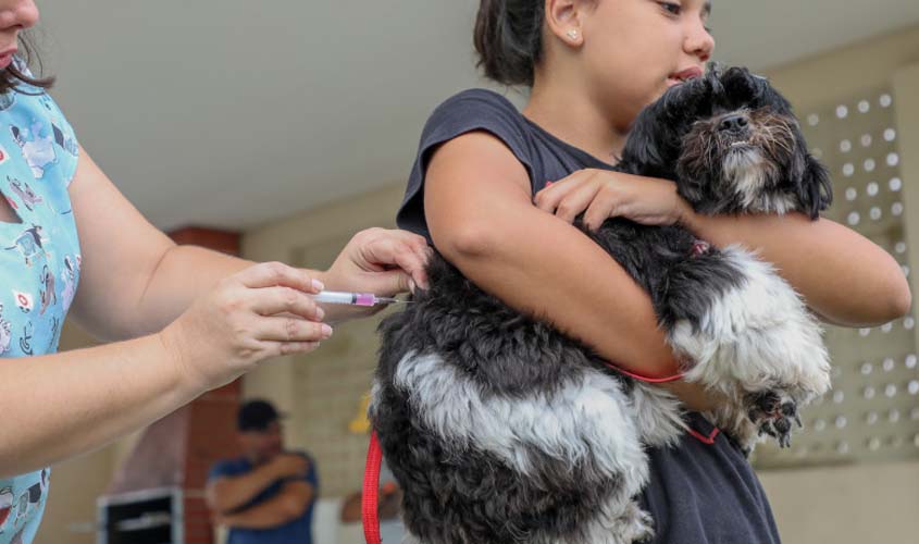 Vacinação antirrábica inicia no condomínio Bairro Novo