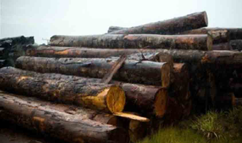 Câmara Ambiental do MPF pede investigação do presidente do Ibama por afrouxar regras para exportação de madeira