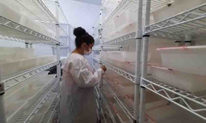 Plataforma da Fiocruz auxilia na detecção e combate à malária em Rondônia