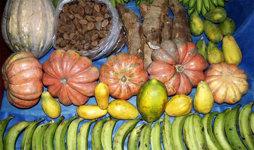 Programa de Alimentação Escolar investe mais de R$ 3 milhões em compras, incluindo peixes