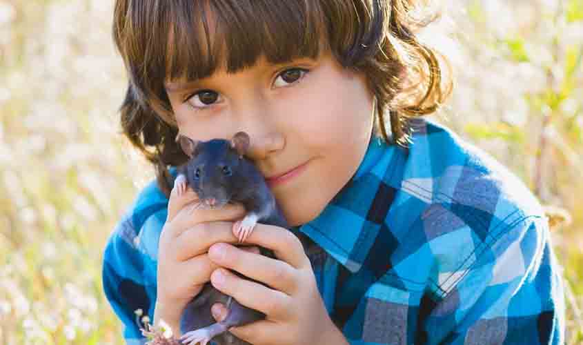 O MENINO E O RATO
