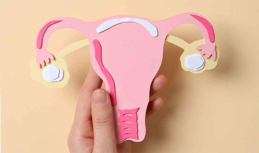 Endometriose e fertilidade: como cuidar da saúde pode ajudar quem quer engravidar