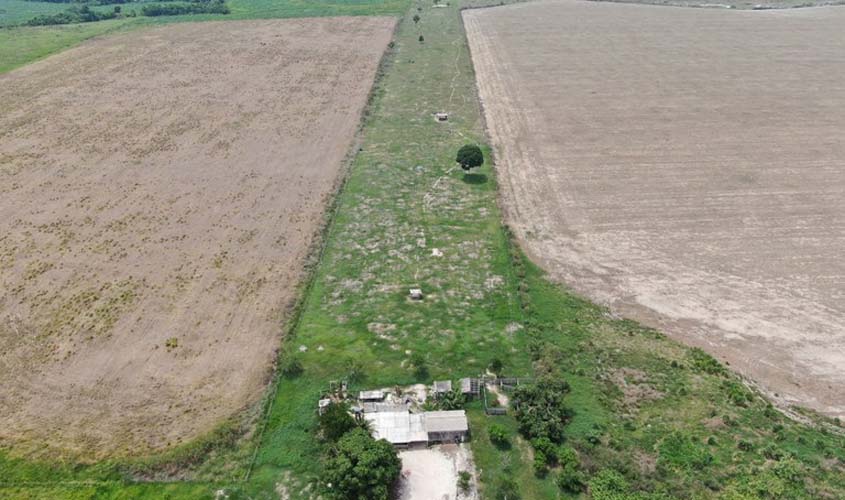 MPF acusa produtores de soja por contaminação e degradação ambiental em RO