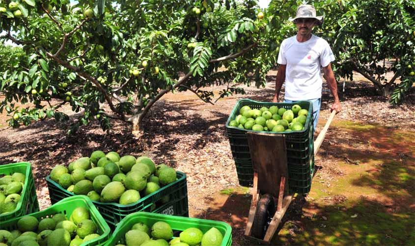 Regra geral exige cumulativamente idade mínima e tempo de contribuição para aposentadoria