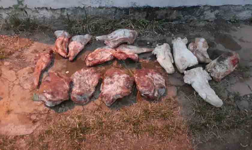 Armas utilizadas para caça predatória são apreendidas pela PMRO