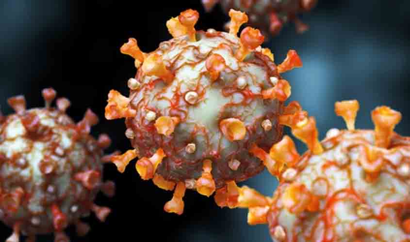 Covid-19: Rondônia com 239.067 casos e 5.944 mortes; Porto Velho registrou 6 mortes nas últimas 24h