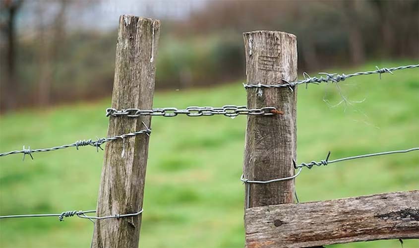 Atendendo MPRO, Judiciário condena posseiro a pagar mais de R$ 600 mil por desmatar RESEX Jaci-Paraná