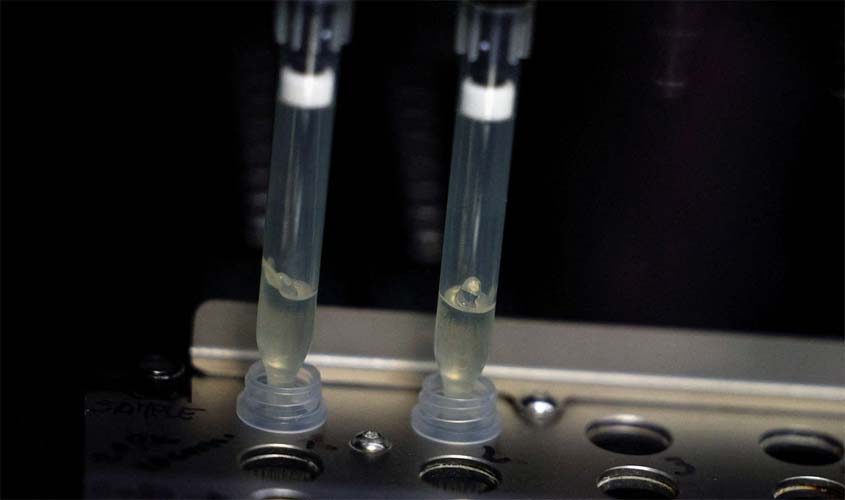 Governo divulga nota técnica com orientações sobre varíola dos macacos