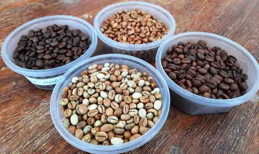 Governo prorroga inscrições do 6º Concurso de Qualidade e Sustentabilidade do Café de Rondônia