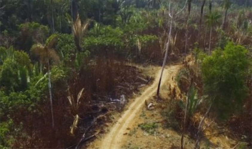 IP desta semana desembarca em Rondônia e mostra problemas que ameaçam Amazônia