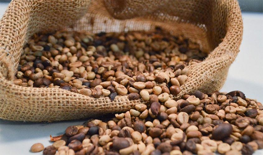 Governo incentiva consumo de café rondoniense com maior introdução no comércio local