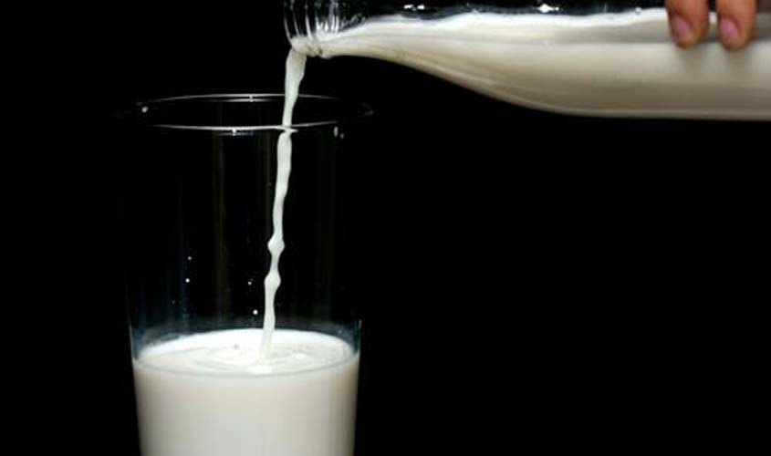 Entenda por que leite e derivados estão ficando mais baratos