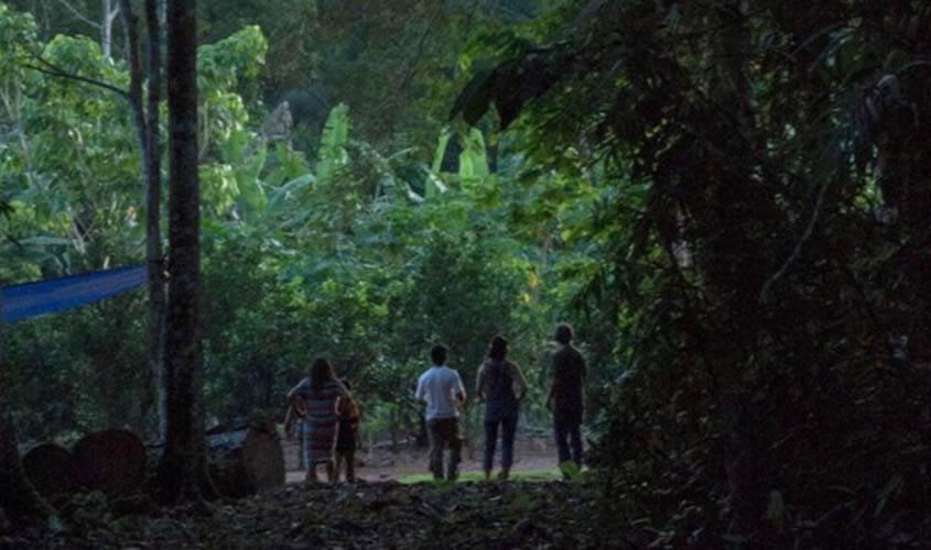 Governo mantém ação contra crimes em terras indígenas de Rondônia