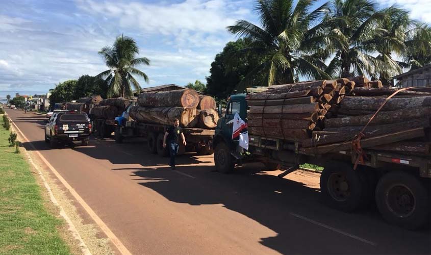 OPERAÇÃO MEZILAURUS: Polícia Civil e Ministério Público deflagram operação de combate ao desmatamento ilegal de madeira e à corrupção