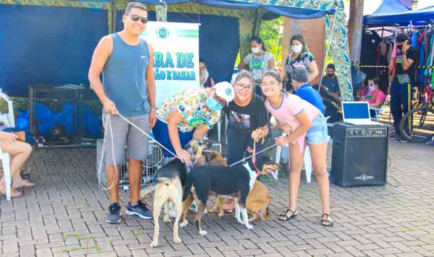 Apaixonada por bichos Márcia Socorristas Animais realiza bazar para ajudar animais abandonados