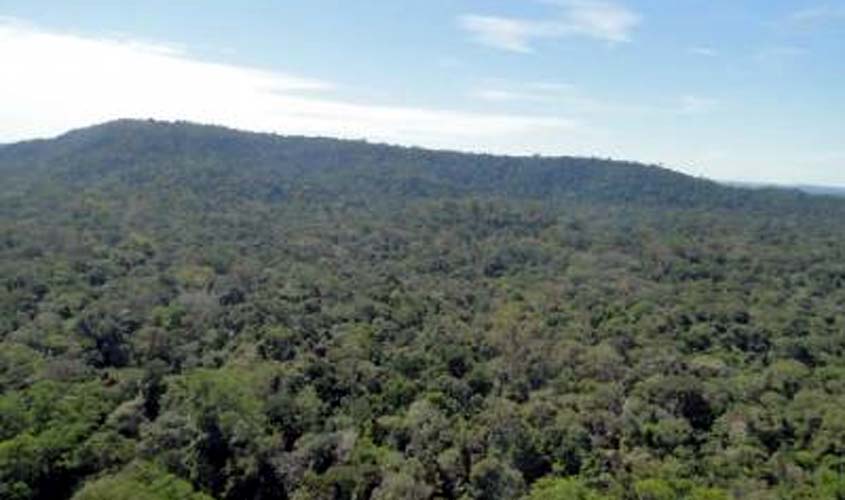 AGU obtém reintegração de posse de área de floresta em Rondônia que foi invadida