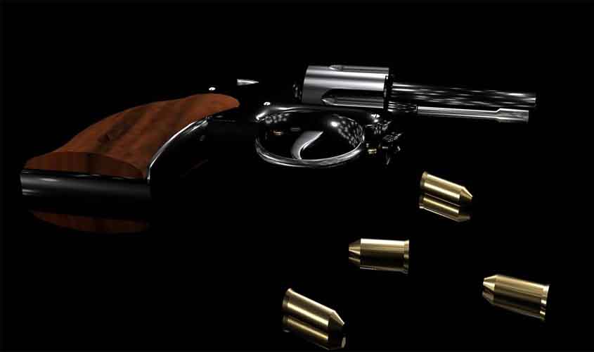 Conheça novas regras para posse de arma no país