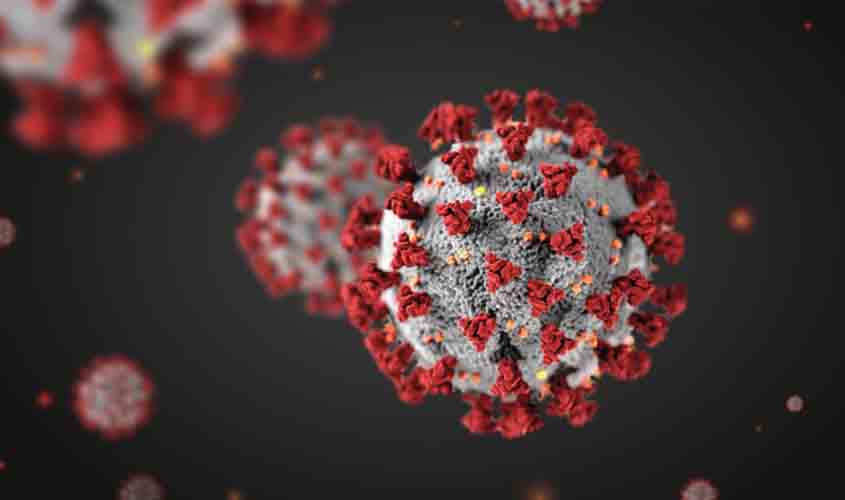 Covid-19: Rondônia com 137.384 casos e 2.533 mortes; Porto Velho registrou 11 mortes nas últimas 24h