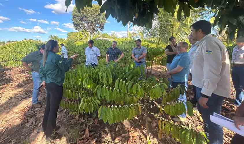 Workshop discute qualificação sustentável do café de Rondônia