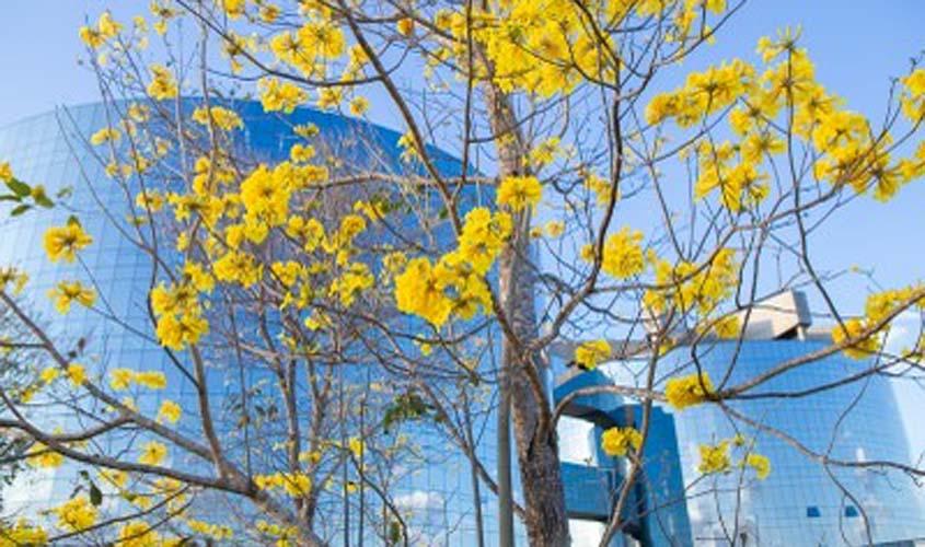 Norma de Goiás que determina ressarcimento ao estado pelo uso de tornozeleira eletrônica é constitucional, diz PGR