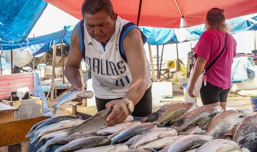 Produtores brasileiros começam a sentir efeitos da taxação dos EUA