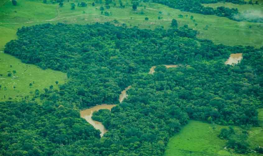 Rondônia tem redução de 35% na taxa de desmatamento entre o período de agosto de 2024 a julho de 2025