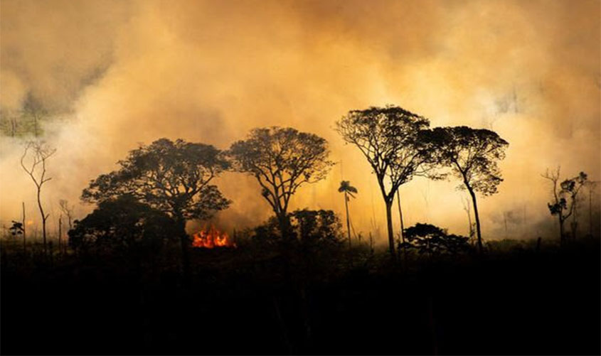 Primeira quinzena de setembro registra recorde de fogo no Pantanal e na Amazônia