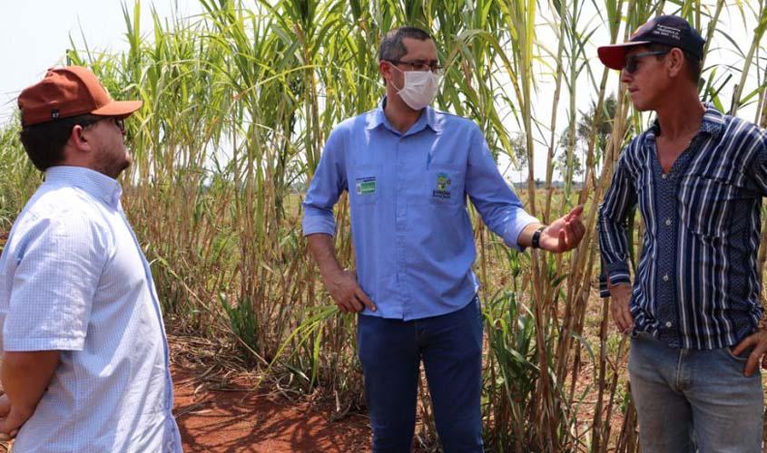 Assistência técnica de servidores da Emater, ajuda produtor de leite a equilibrar custo e receita