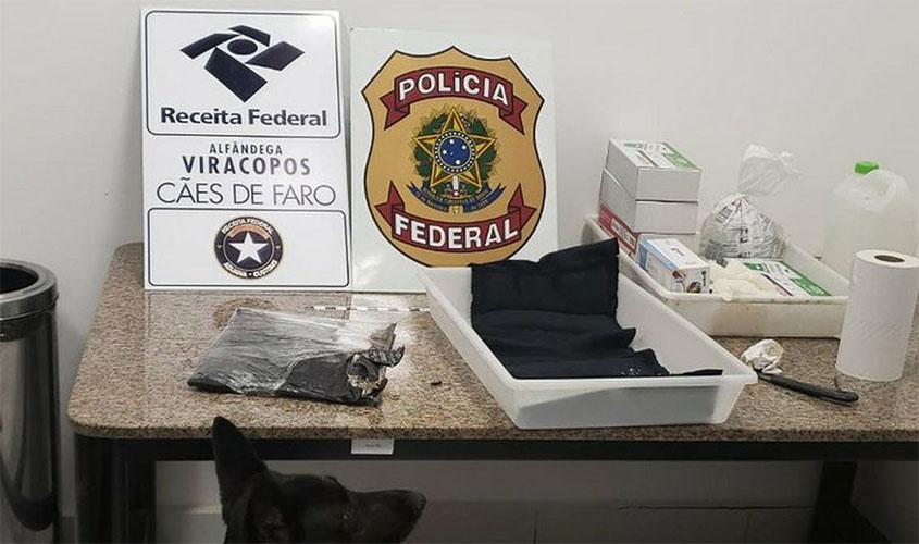 Apreensão de cocaína pela Receita bate recorde em 2019