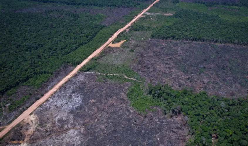 Vias ilegais perto da BR-319 avançam em áreas protegidas da Amazônia