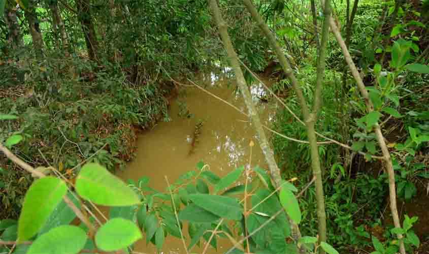 Pires de Sá protegido: após operação rigorosa, Prefeitura bloqueia despejos irregulares de resíduos no rio