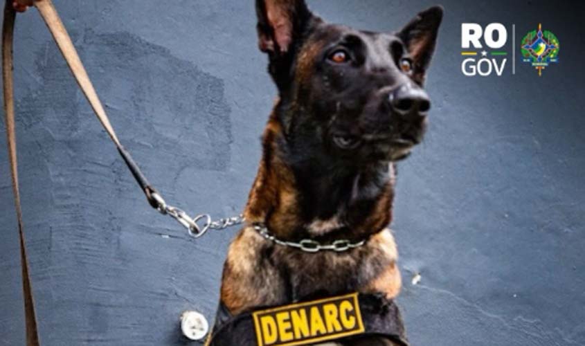 Polícia Civil apreende substância irregular com cão farejador