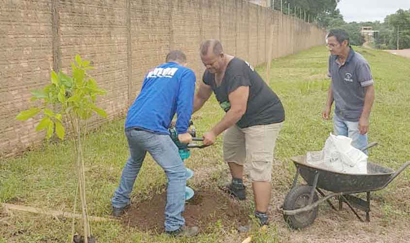 Whats árvore, da Secretaria Municipal de Meio Ambiente, continua ativo