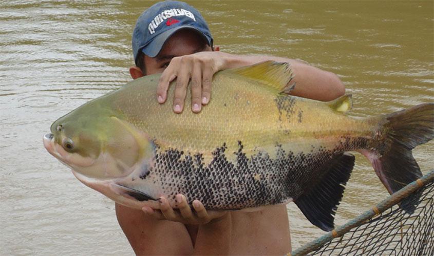 Basa prevê investimentos acima de R$ 2 bilhões para o desenvolvimento de Rondônia