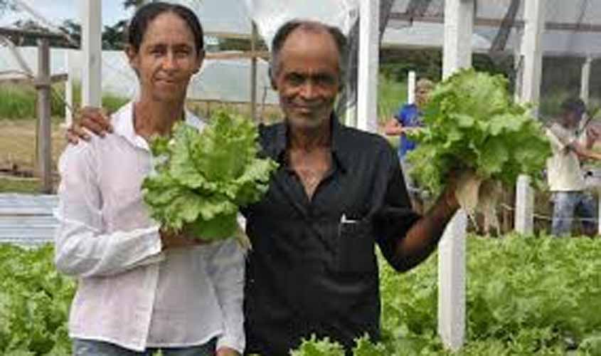 Prazo de Validade da Declaração de Aptidão ao Programa Nacional da Agricultura Familiar foi ampliado para dois anos