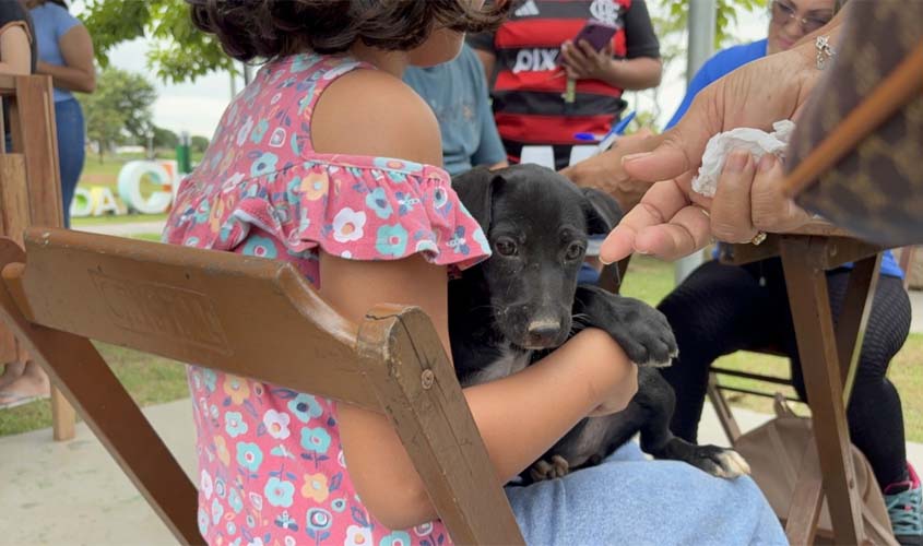 Feira da prefeitura tem sucesso na adoção de cães e gatos
