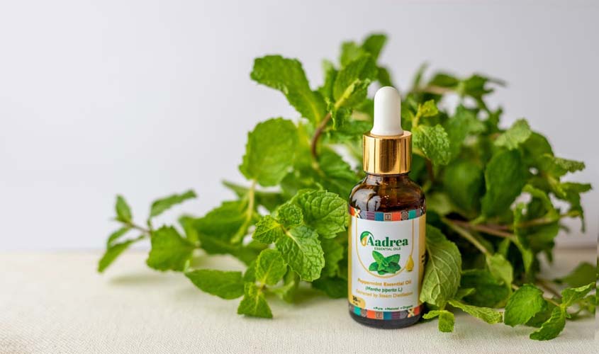 Óleos essenciais podem trazer benefícios terapêuticos