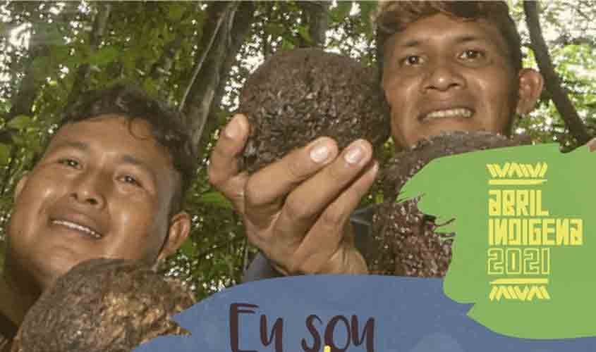 Povo Cinta Larga concilia produção de castanha e proteção da floresta