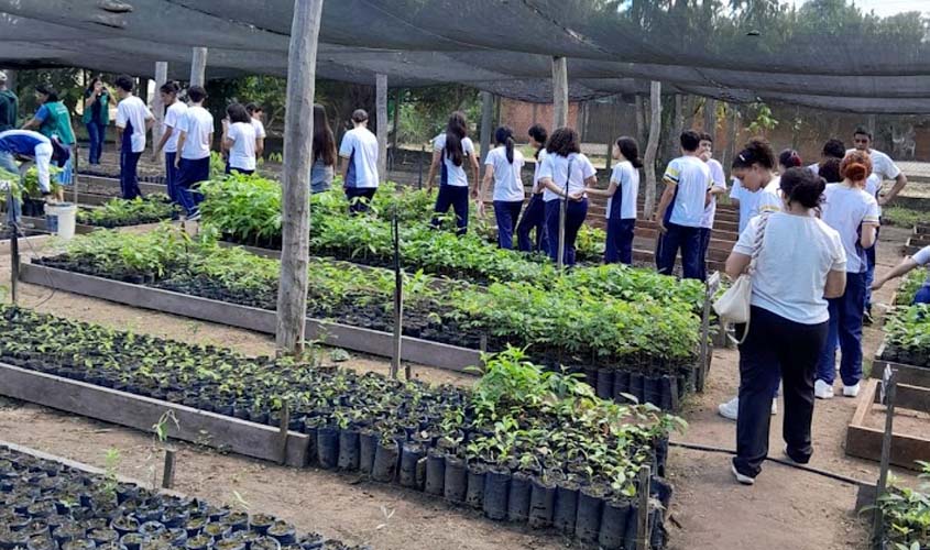 Viveiro Municipal recebe alunos da Escola Janete Clair