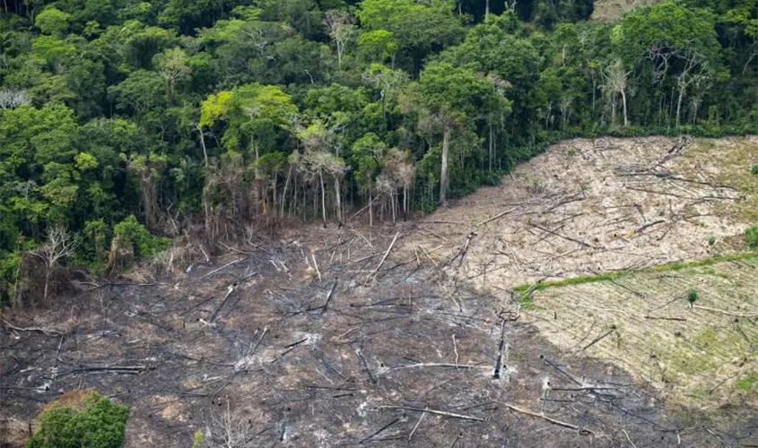 Comando da PM em Rondônia suspende apoio a ICMbio e IBAMA em operações contra o desmatamento ilegal