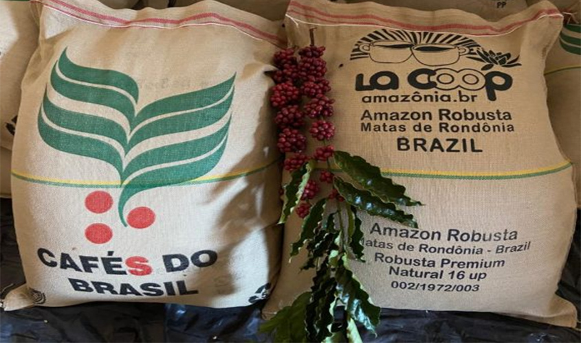 Cooperativa de Rondônia exporta 640 sacas de café 