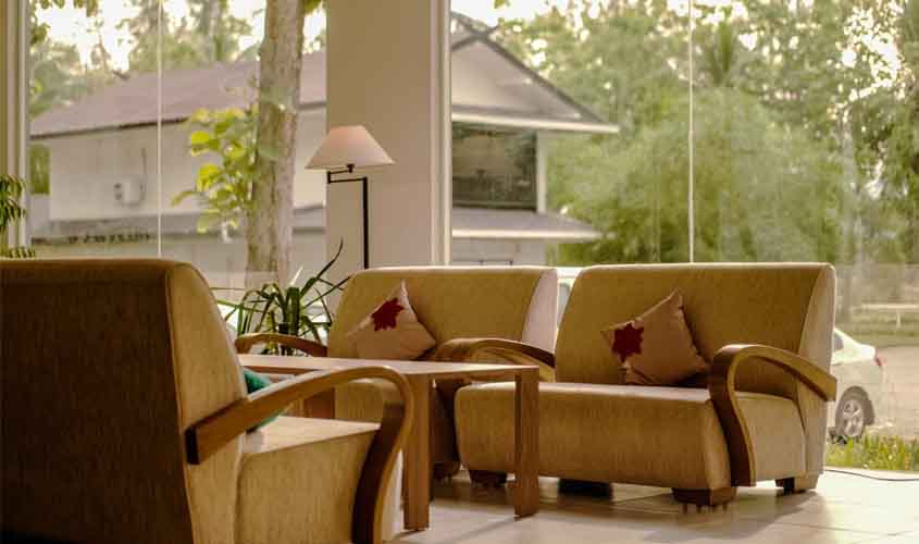 Decoração Sustentável: 10 Ideias para uma Casa Mais Ecológica