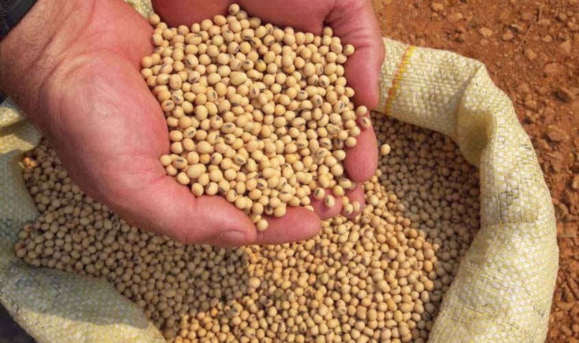 Produtores de soja devem cadastrar áreas que serão cultivadas