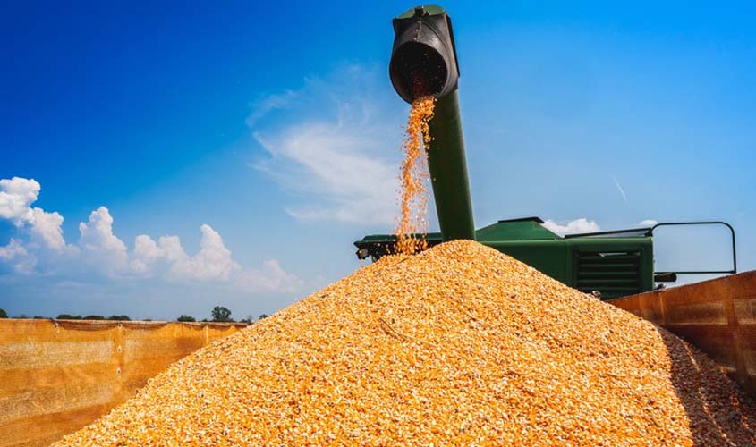 Rondônia tem maior estimativa de crescimento na produção de grãos na região Norte