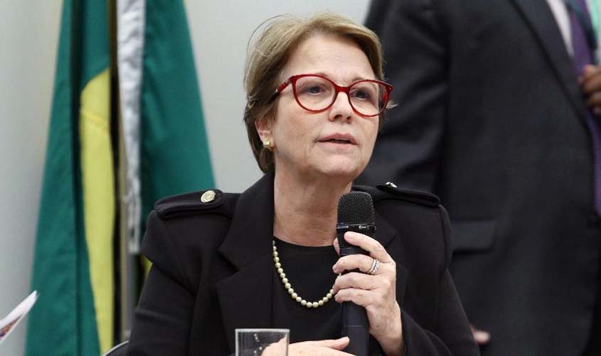 Ministra da Agricultura lançará oficialmente o plantio da safra de soja