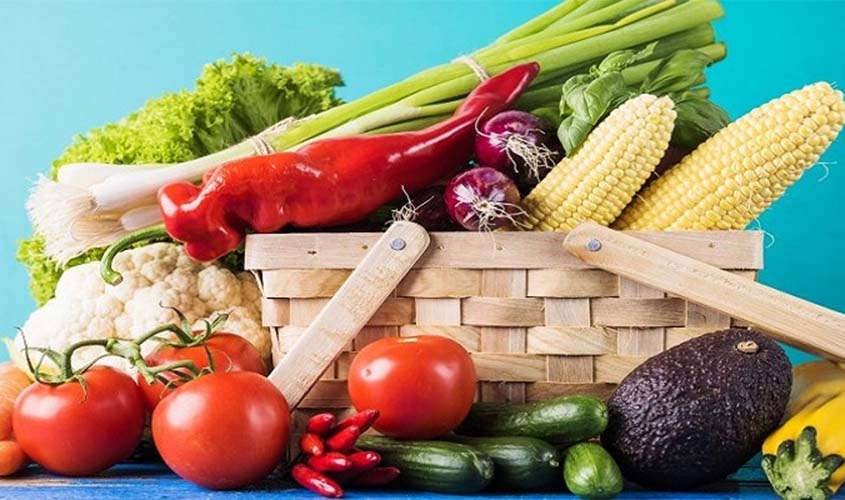 Substitutos da carne e do leite: alternativas proteicas para uma dieta vegetariana