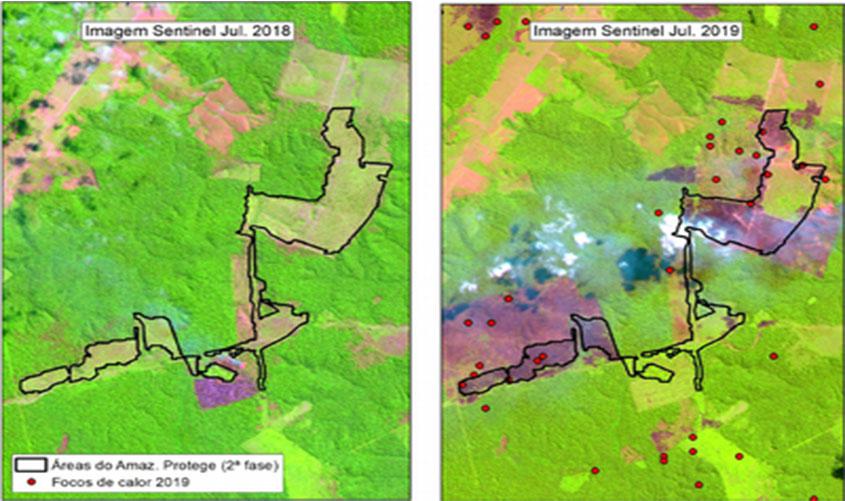 Amazônia Protege: estudo mostra queimadas em 1/3 das áreas de desmatamento ilegal alvo de ação do MPF