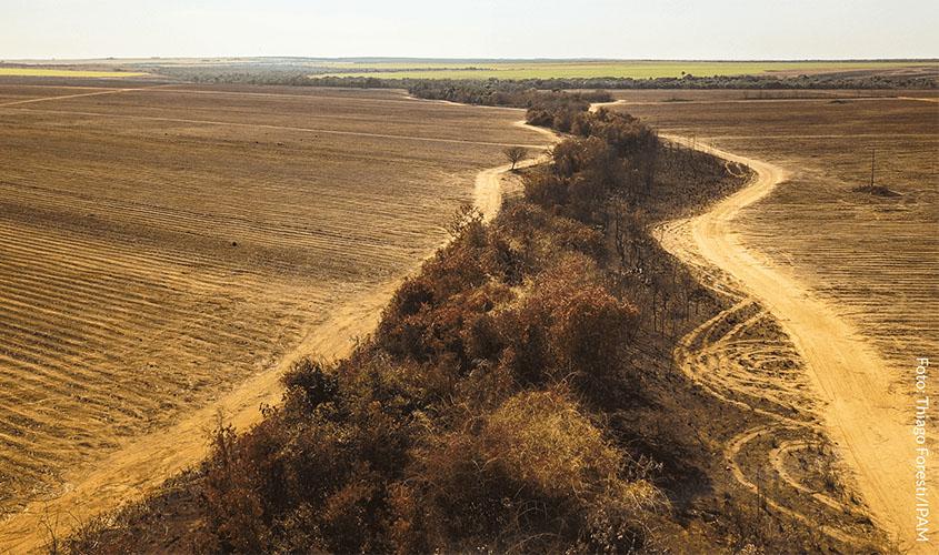 Cerrado perdeu quase 30 milhões de hectares em vegetação nativa em 35 anos