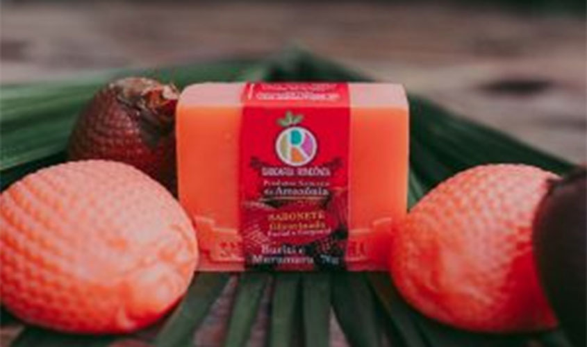 Plataforma AmazoniAtiva aproxima produtores e mercado na Amazônia