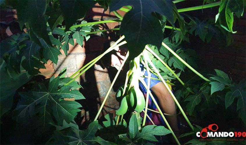 Jovem que ostentava arma de fogo em frente de residência é preso pela PM